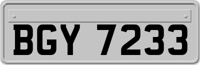 BGY7233