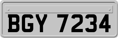 BGY7234