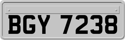 BGY7238