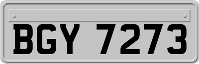 BGY7273