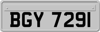 BGY7291