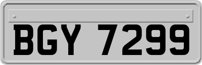 BGY7299