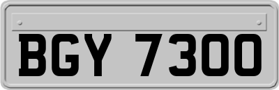 BGY7300