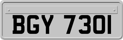 BGY7301