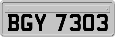 BGY7303