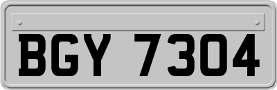 BGY7304