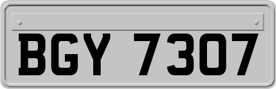 BGY7307