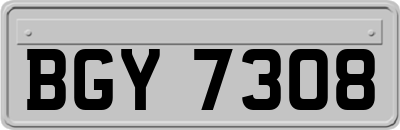 BGY7308