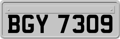 BGY7309