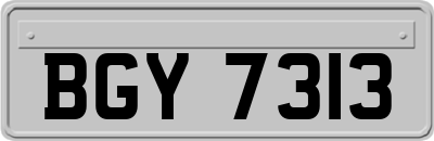 BGY7313
