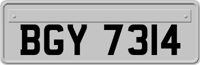 BGY7314