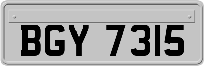 BGY7315