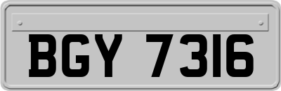 BGY7316