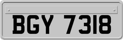 BGY7318