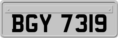 BGY7319