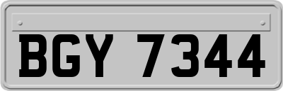 BGY7344
