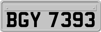 BGY7393