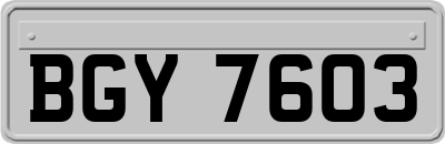 BGY7603