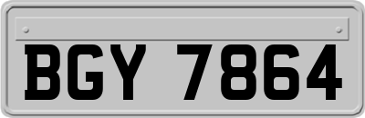 BGY7864