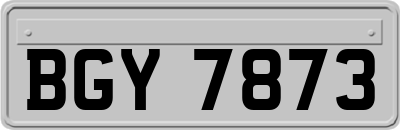 BGY7873