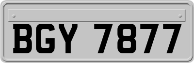 BGY7877