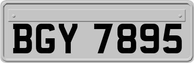 BGY7895