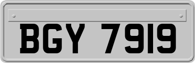 BGY7919