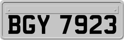 BGY7923