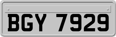 BGY7929