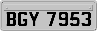BGY7953