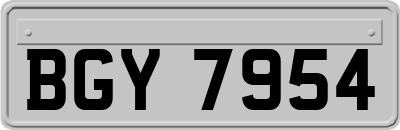 BGY7954