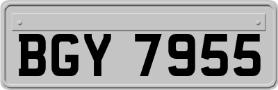 BGY7955