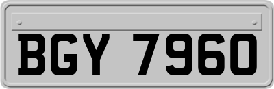 BGY7960