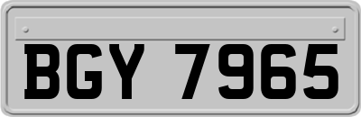 BGY7965