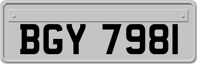 BGY7981