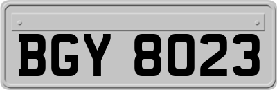 BGY8023