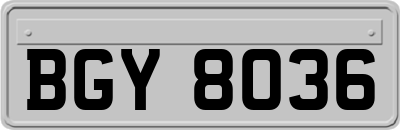 BGY8036