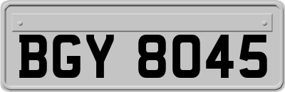 BGY8045