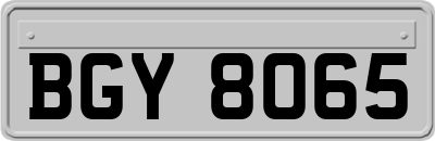 BGY8065