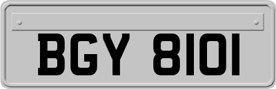BGY8101