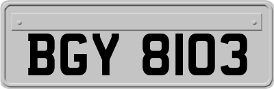 BGY8103
