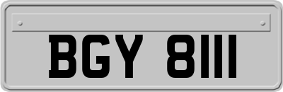 BGY8111
