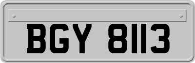 BGY8113