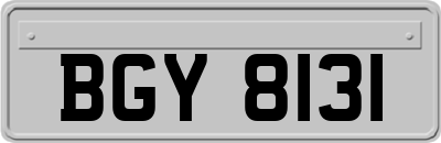 BGY8131