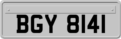 BGY8141