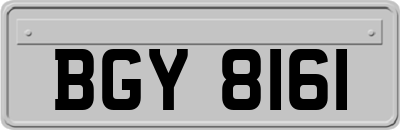 BGY8161