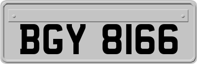 BGY8166