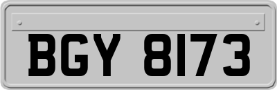BGY8173