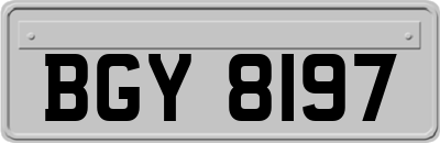BGY8197