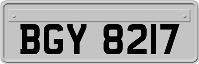 BGY8217